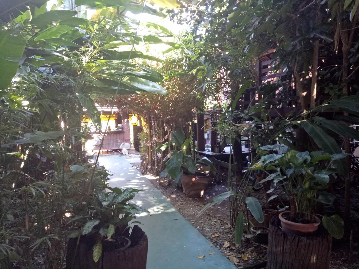 Tonnam Homestay Τσιάνγκ Μάι Εξωτερικό φωτογραφία